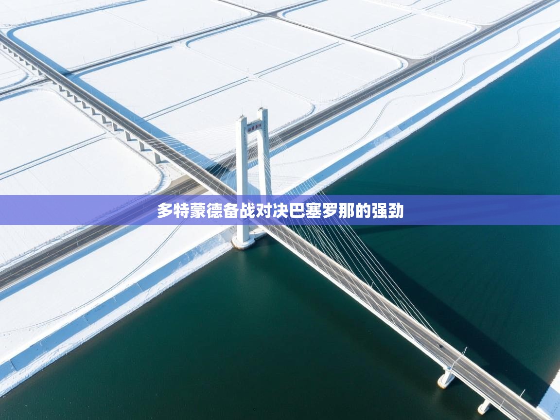 爱游戏体育入口app-多特蒙德备战对决巴塞罗那的强劲  第2张