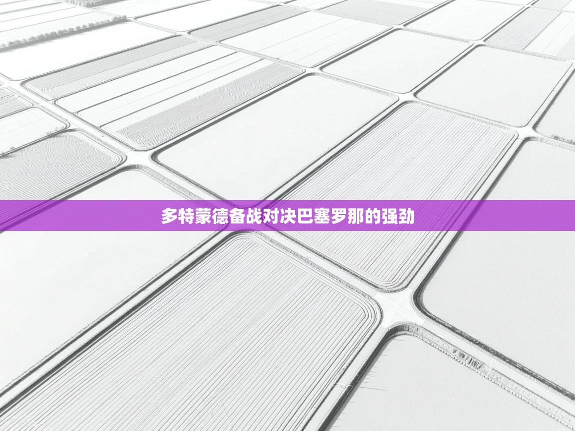 爱游戏体育入口app-多特蒙德备战对决巴塞罗那的强劲  第3张