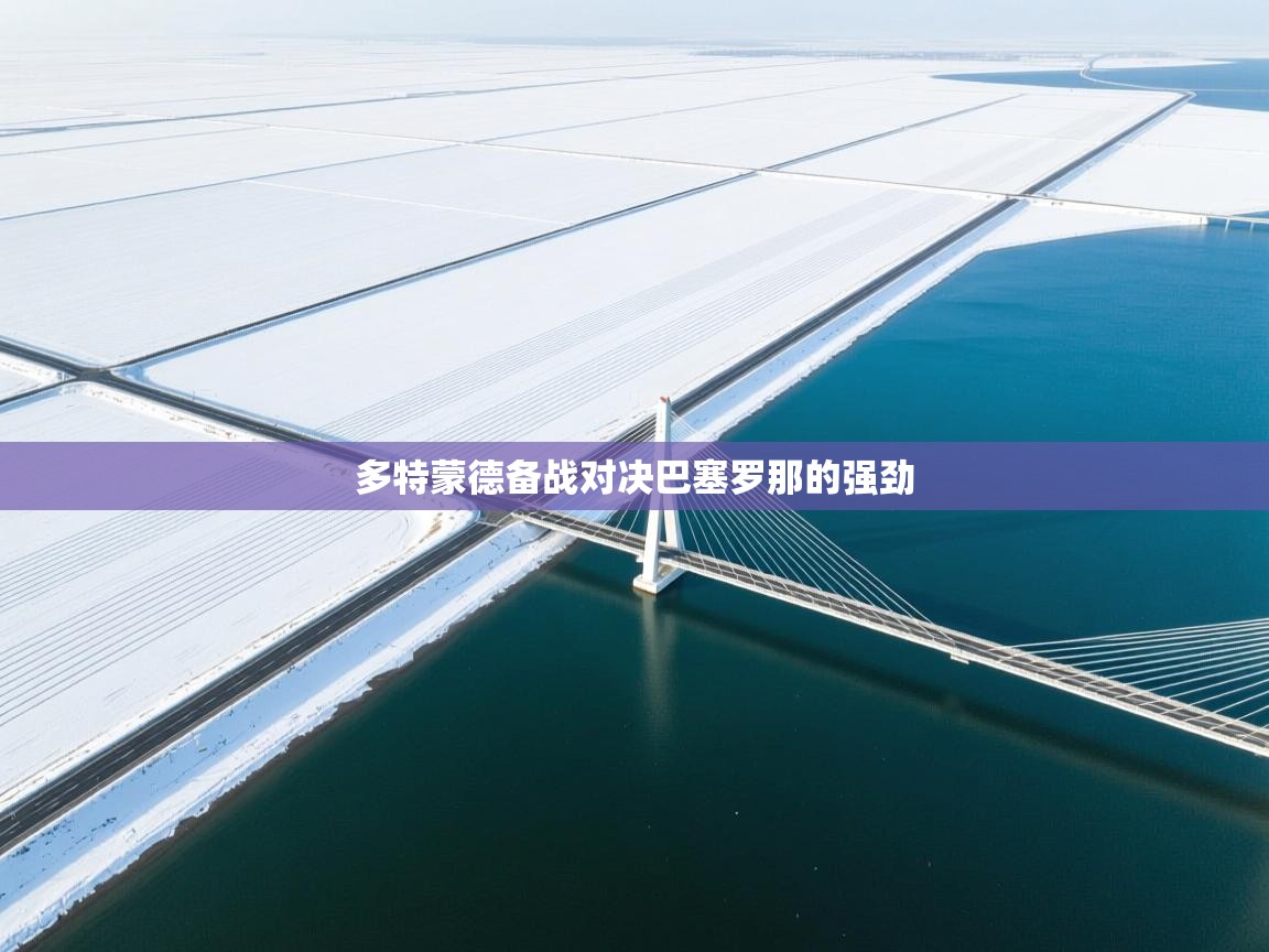 爱游戏体育入口app-多特蒙德备战对决巴塞罗那的强劲  第4张