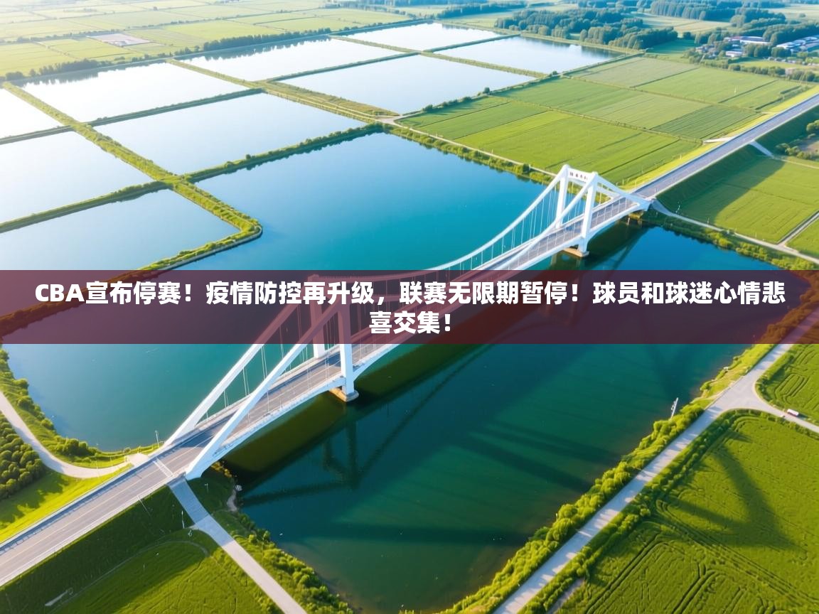 爱游戏娱乐登录-CBA宣布停赛!疫情防控再升级,联赛无限期暂停!球员和球迷心情悲喜交集! 第2张