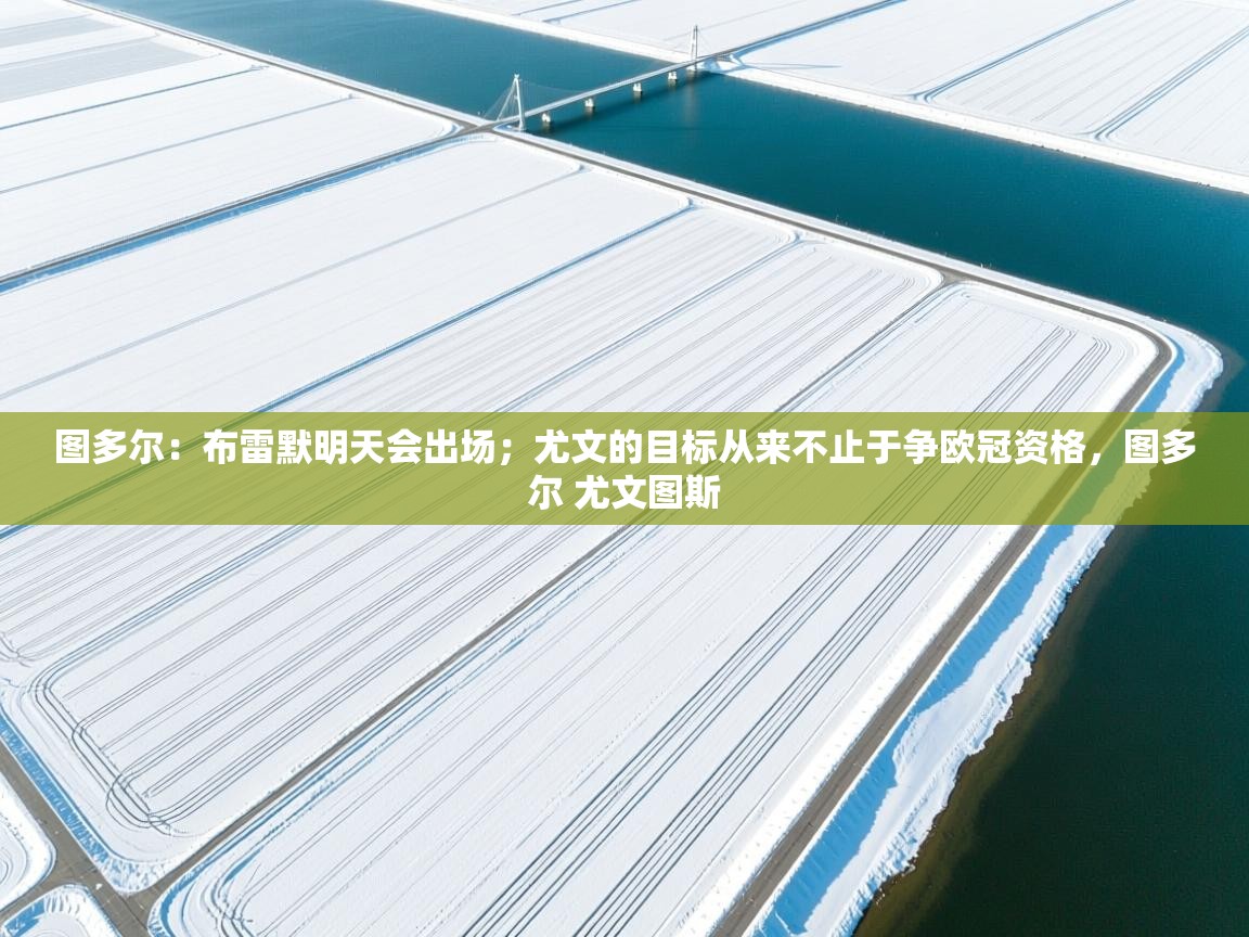 爱游戏在线官网-图多尔:布雷默明天会出场;尤文的目标从来不止于争欧冠资格,图多尔 尤文图斯 第2张