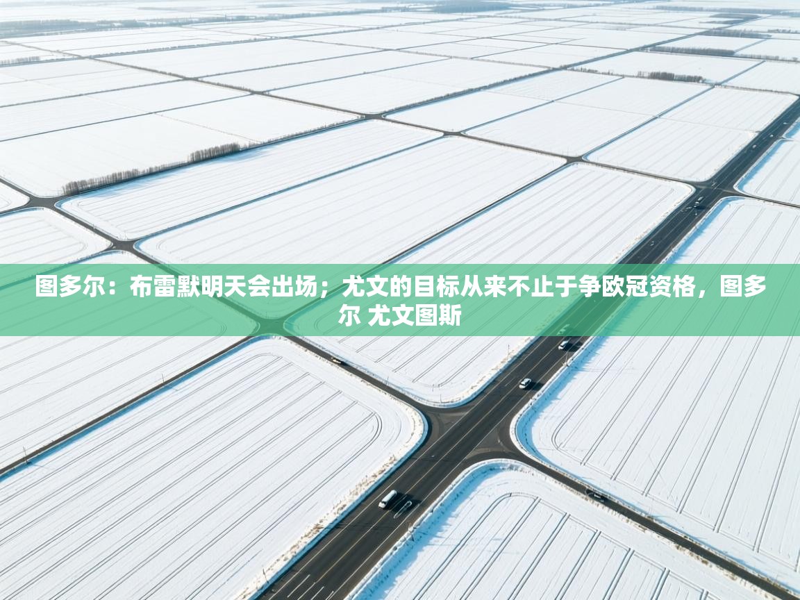 爱游戏在线官网-图多尔:布雷默明天会出场;尤文的目标从来不止于争欧冠资格,图多尔 尤文图斯 第4张