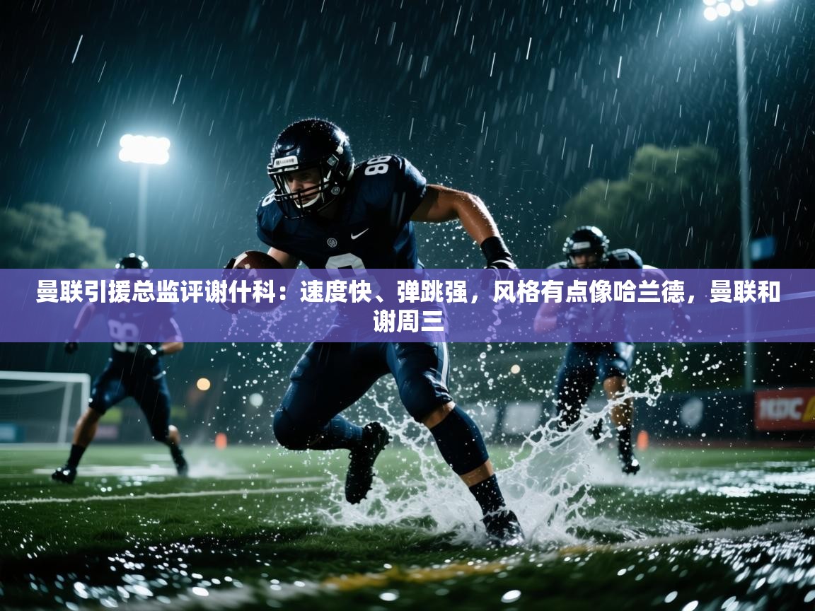 爱游戏厅下载-曼联引援总监评谢什科:速度快、弹跳强,风格有点像哈兰德,曼联和谢周三 第1张