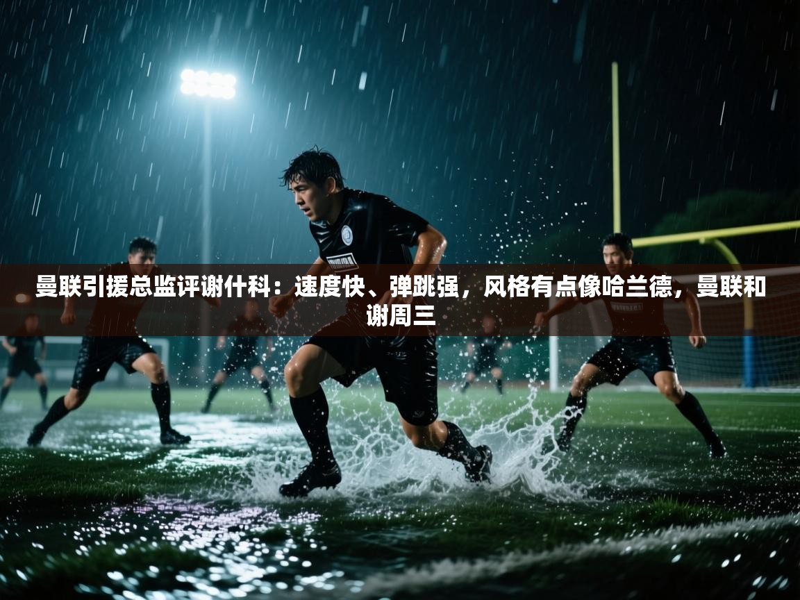 爱游戏厅下载-曼联引援总监评谢什科:速度快、弹跳强,风格有点像哈兰德,曼联和谢周三 第3张