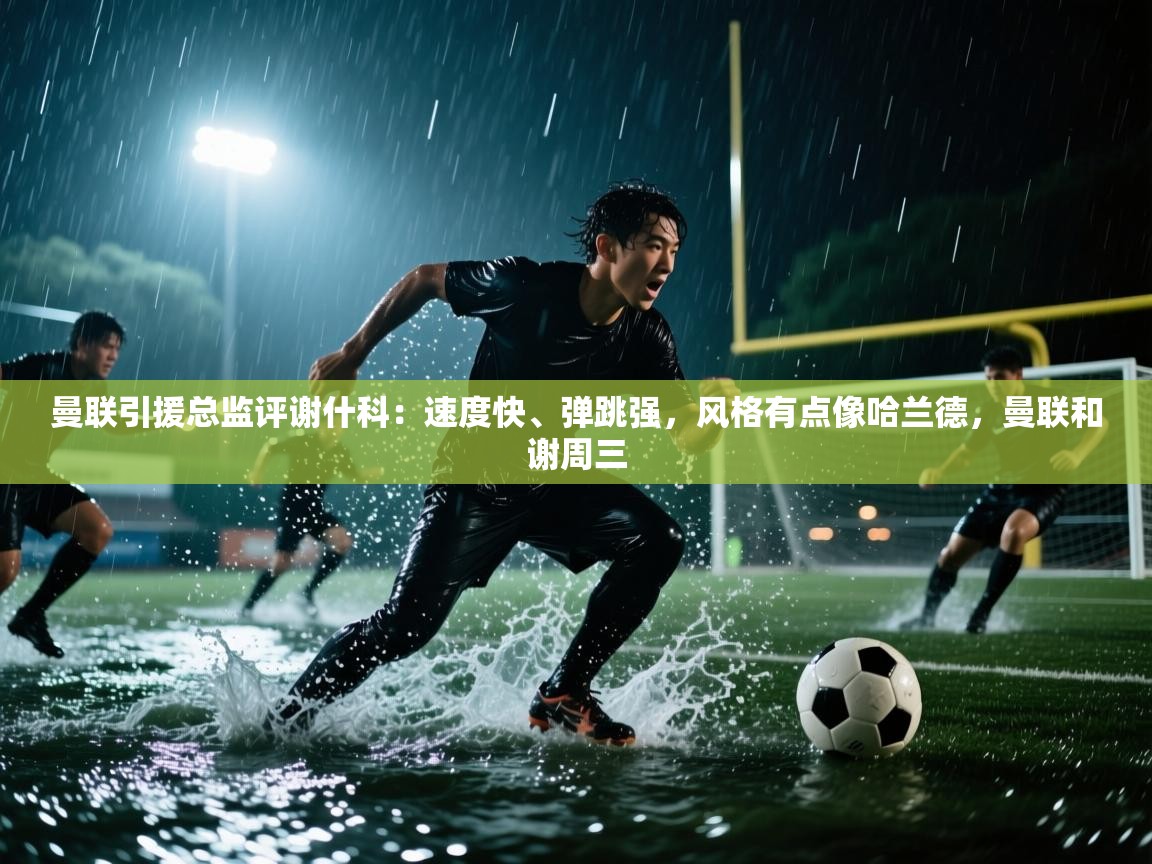 爱游戏厅下载-曼联引援总监评谢什科:速度快、弹跳强,风格有点像哈兰德,曼联和谢周三 第2张