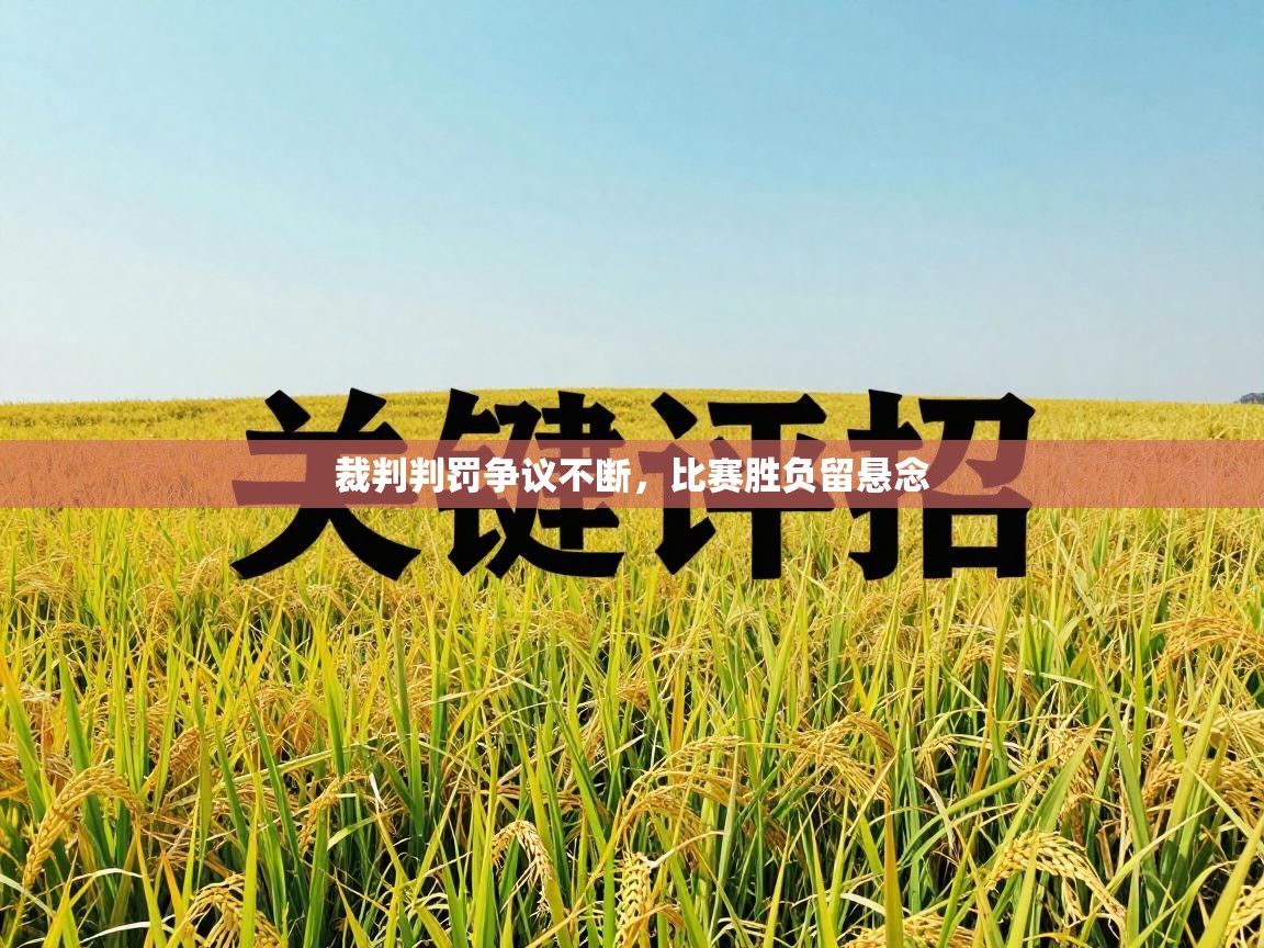 爱游戏娱乐平台信誉好16-裁判判罚争议不断，比赛胜负留悬念  第3张