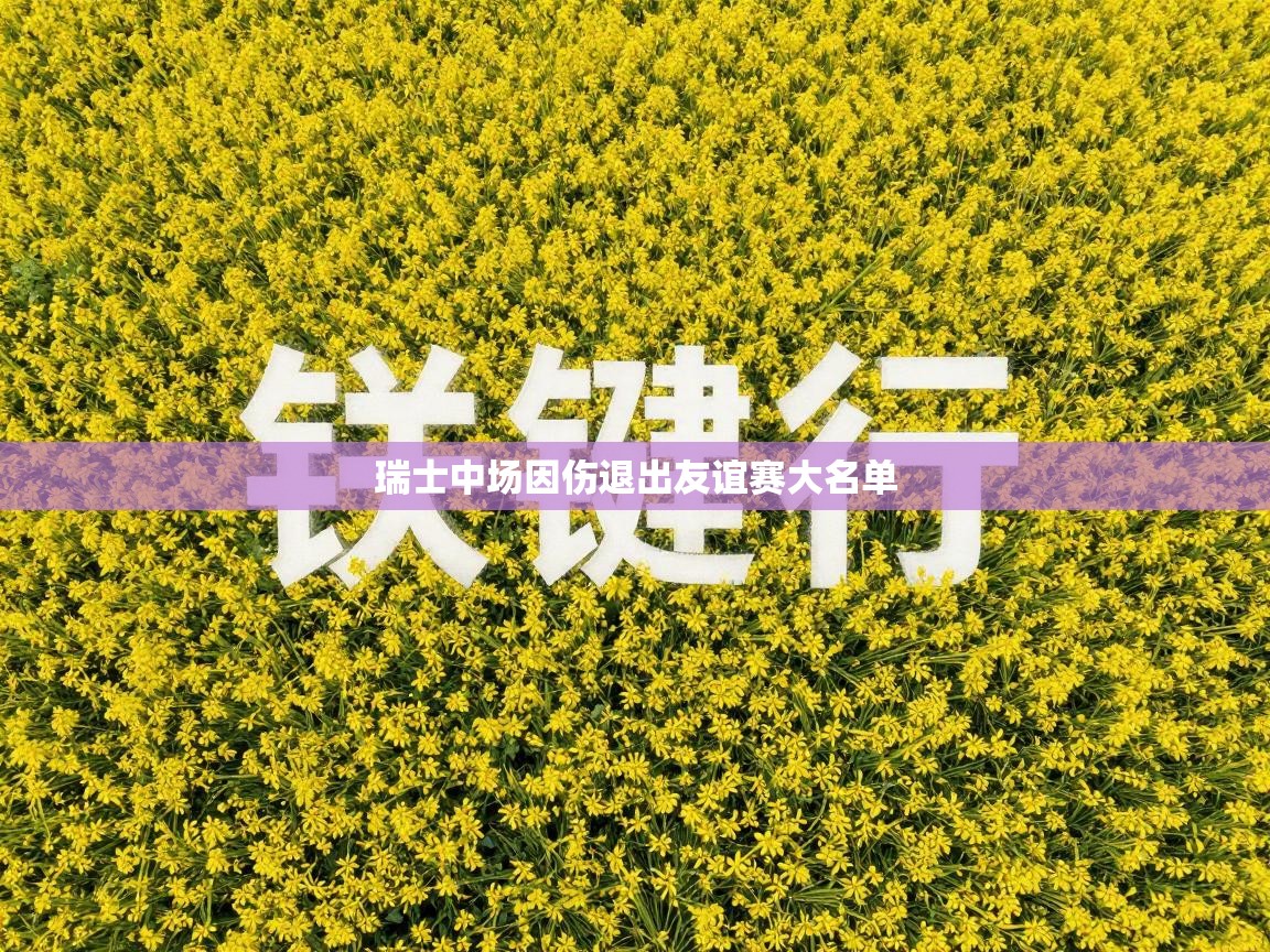 爱游戏娱乐app下载-瑞士中场因伤退出友谊赛大名单 第4张