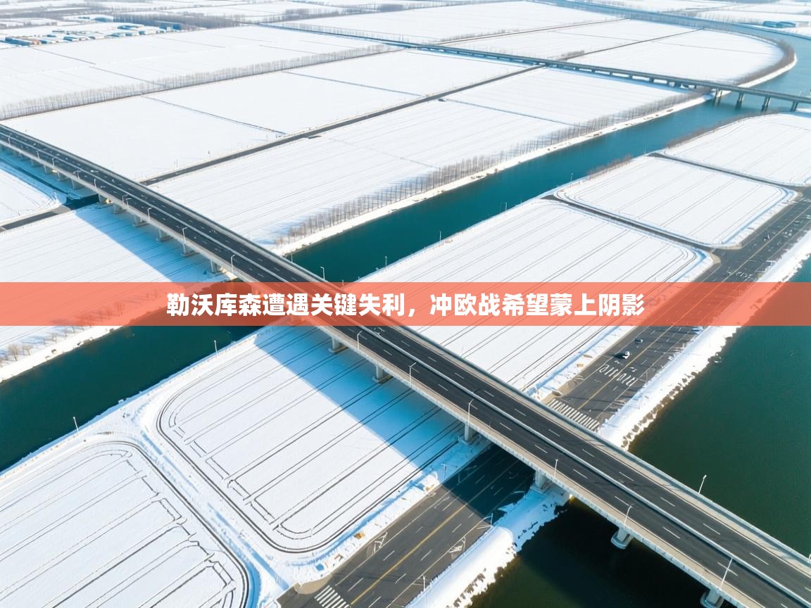 爱游戏体育娱乐马竞赞助商-勒沃库森遭遇关键失利，冲欧战希望蒙上阴影  第1张