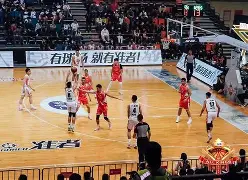 乐动体育平台-猛虎队士气不振，队员互相指责